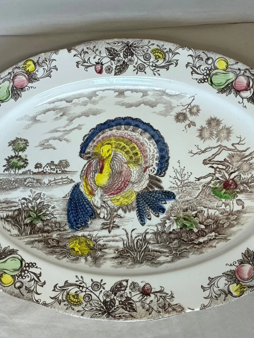 Vintage Turkey Thanksgiving Large Oval Serving Platter